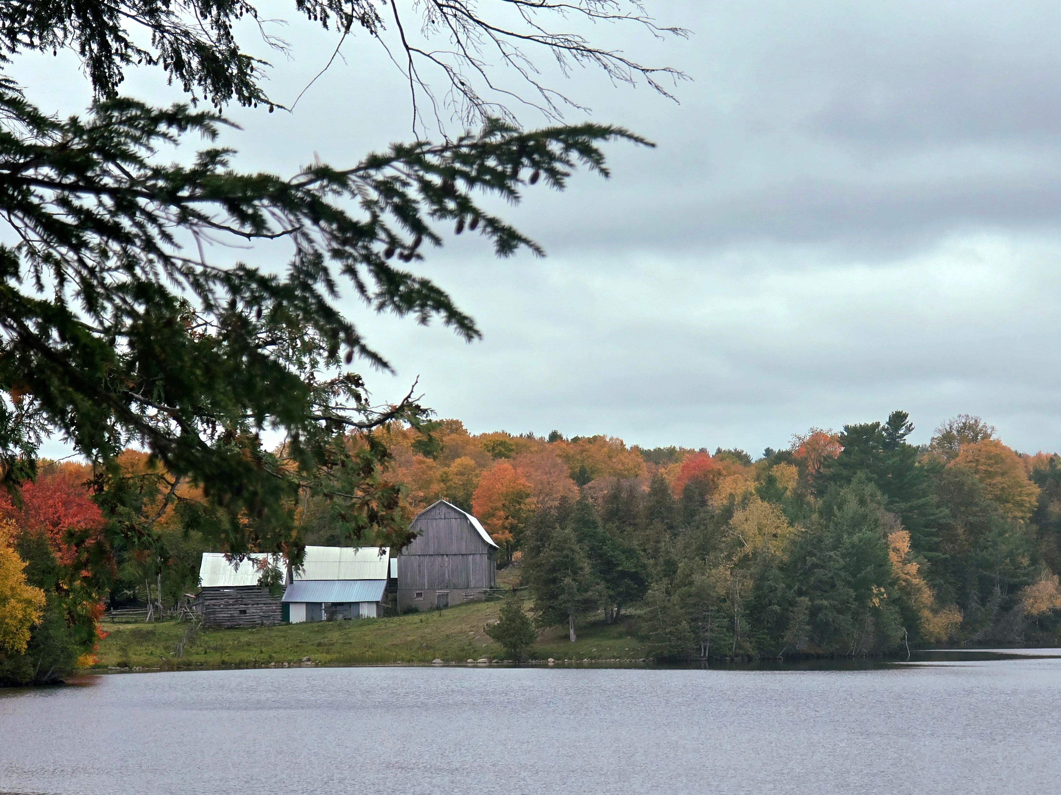 A weathered grey barn and white-roofed outbuildings across a lake under an overcast sky, with red and orange trees along the far shore and evergreen boughs in the foreground