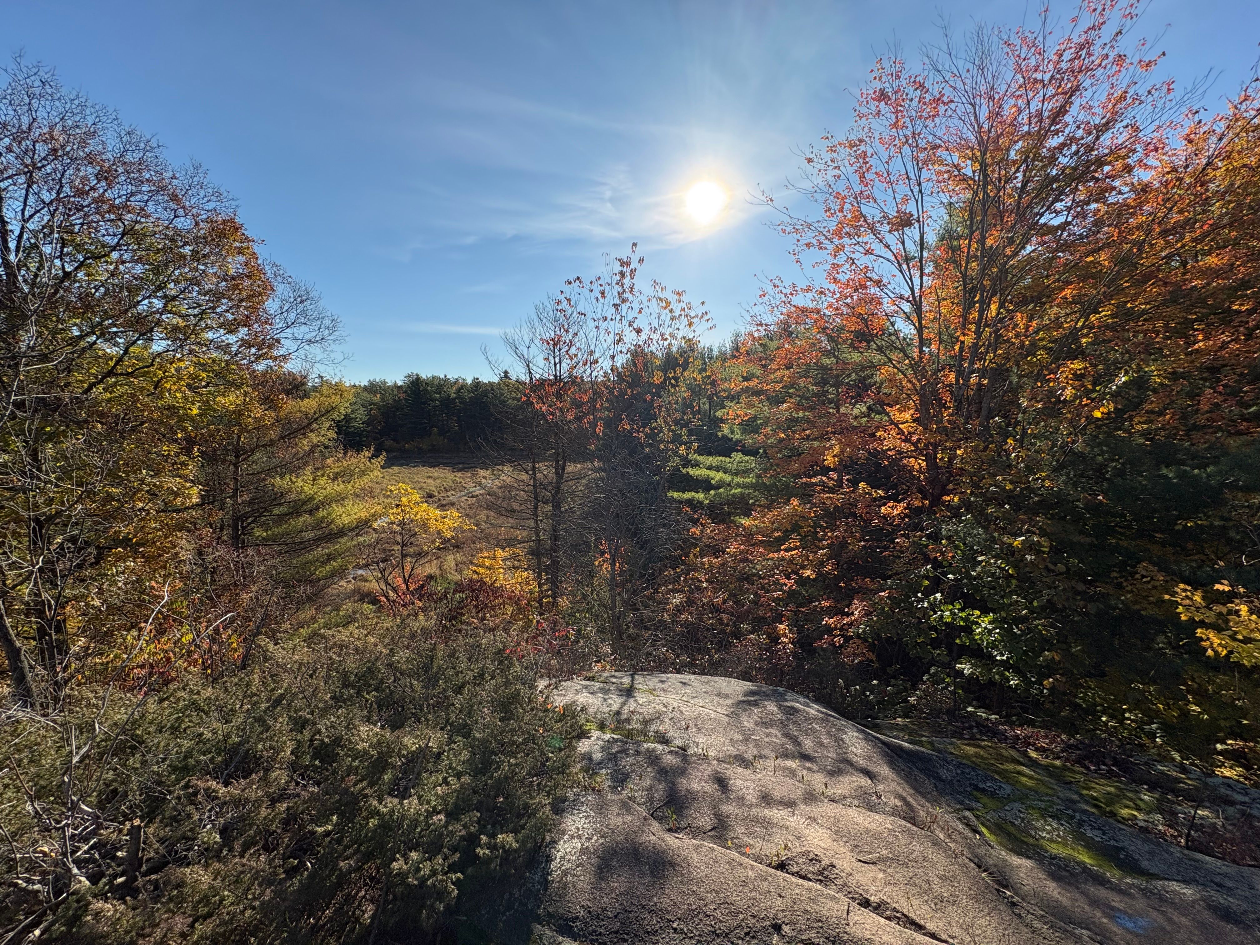 Red, orange and yellow fall leaves framing a sunny clearing, seen from a bare granite outcrop under a bright blue sky