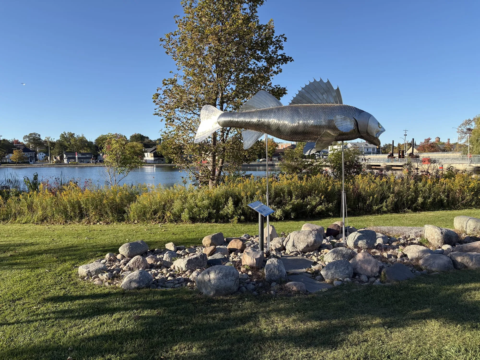 Pisces Pete, a giant stainless-steel walleye on a pole above a bed of rocks in Pisces Park, the Trent River and the village of Hastings behind