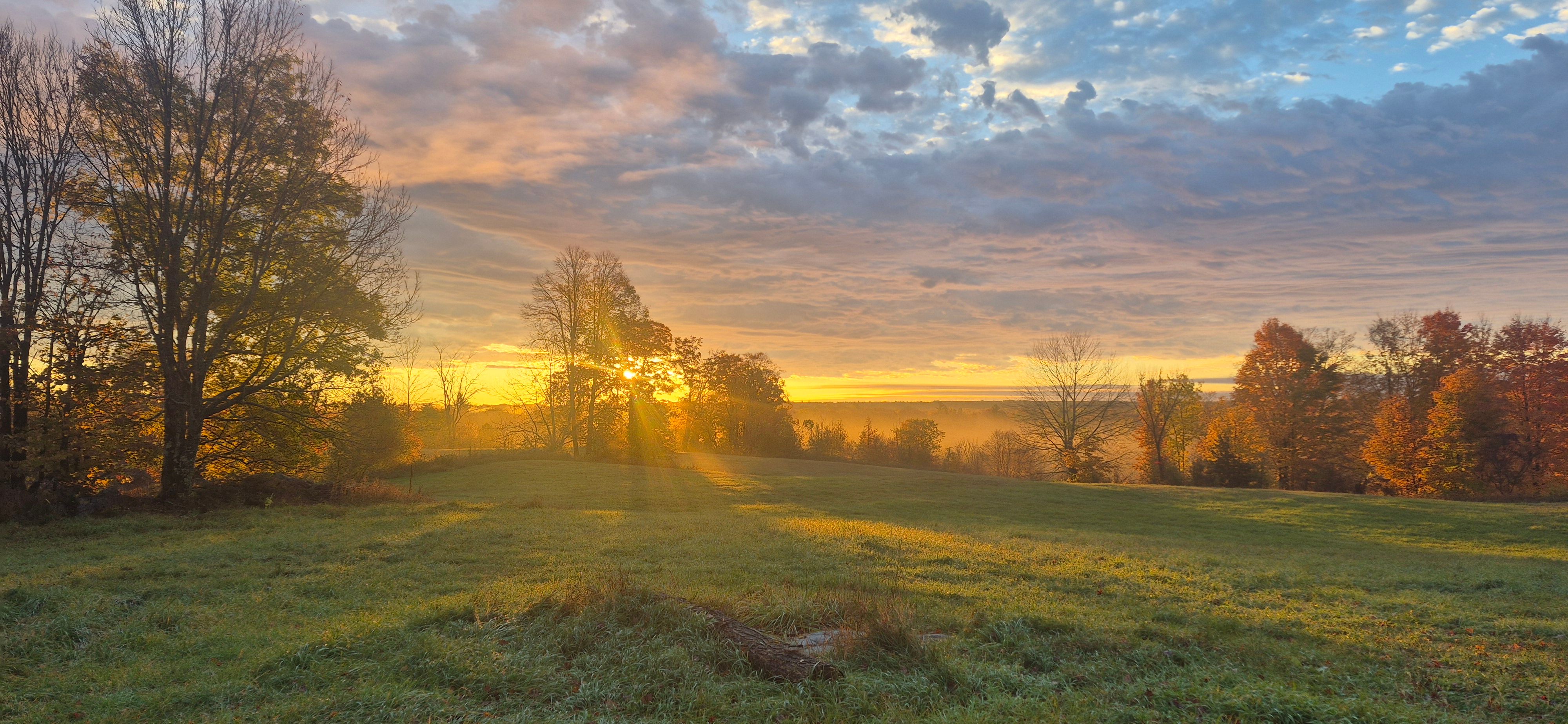 Sunrise over an open field, the low sun shining through bare trees, mist in the valley beyond and orange and red maples along the treeline