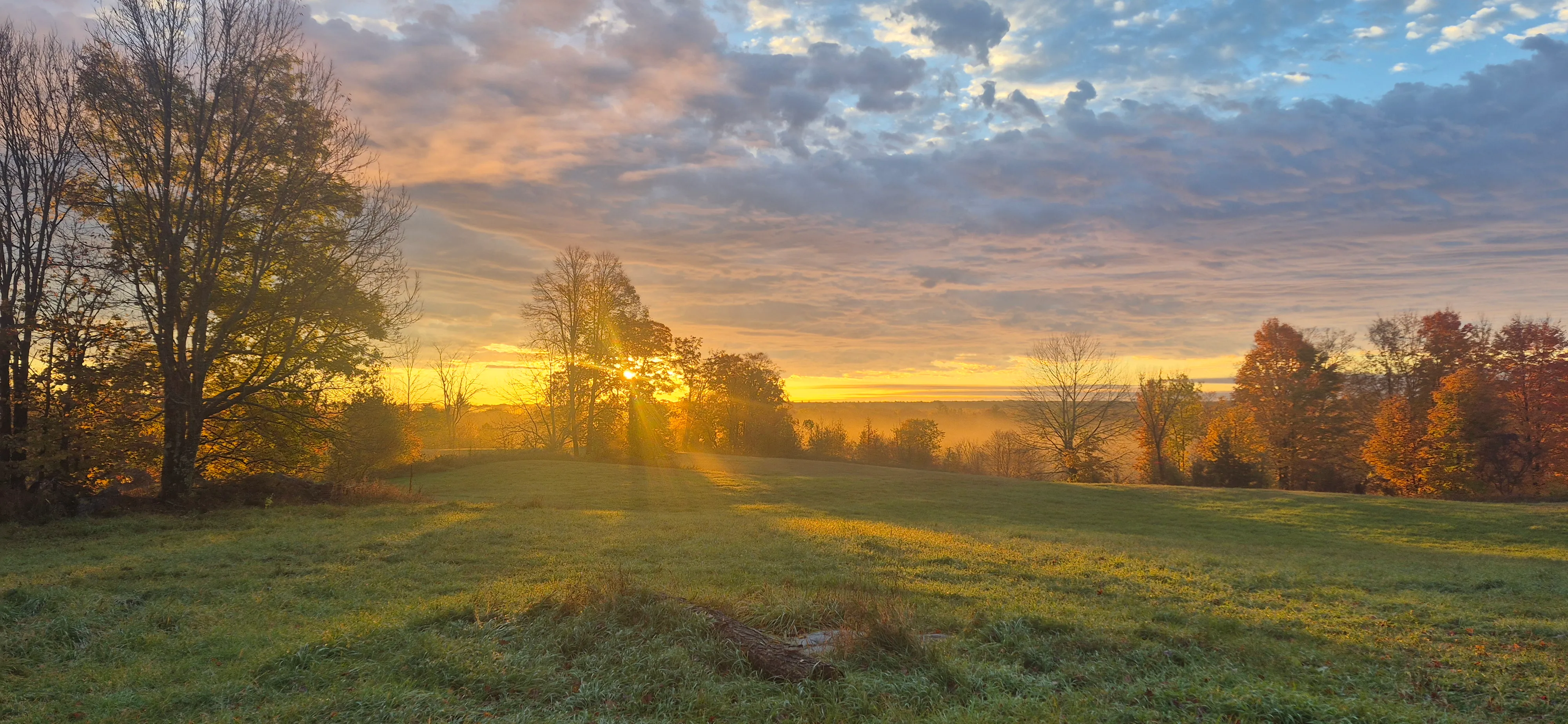 Sunrise over an open field, the low sun shining through bare trees, mist in the valley beyond and orange and red maples along the treeline