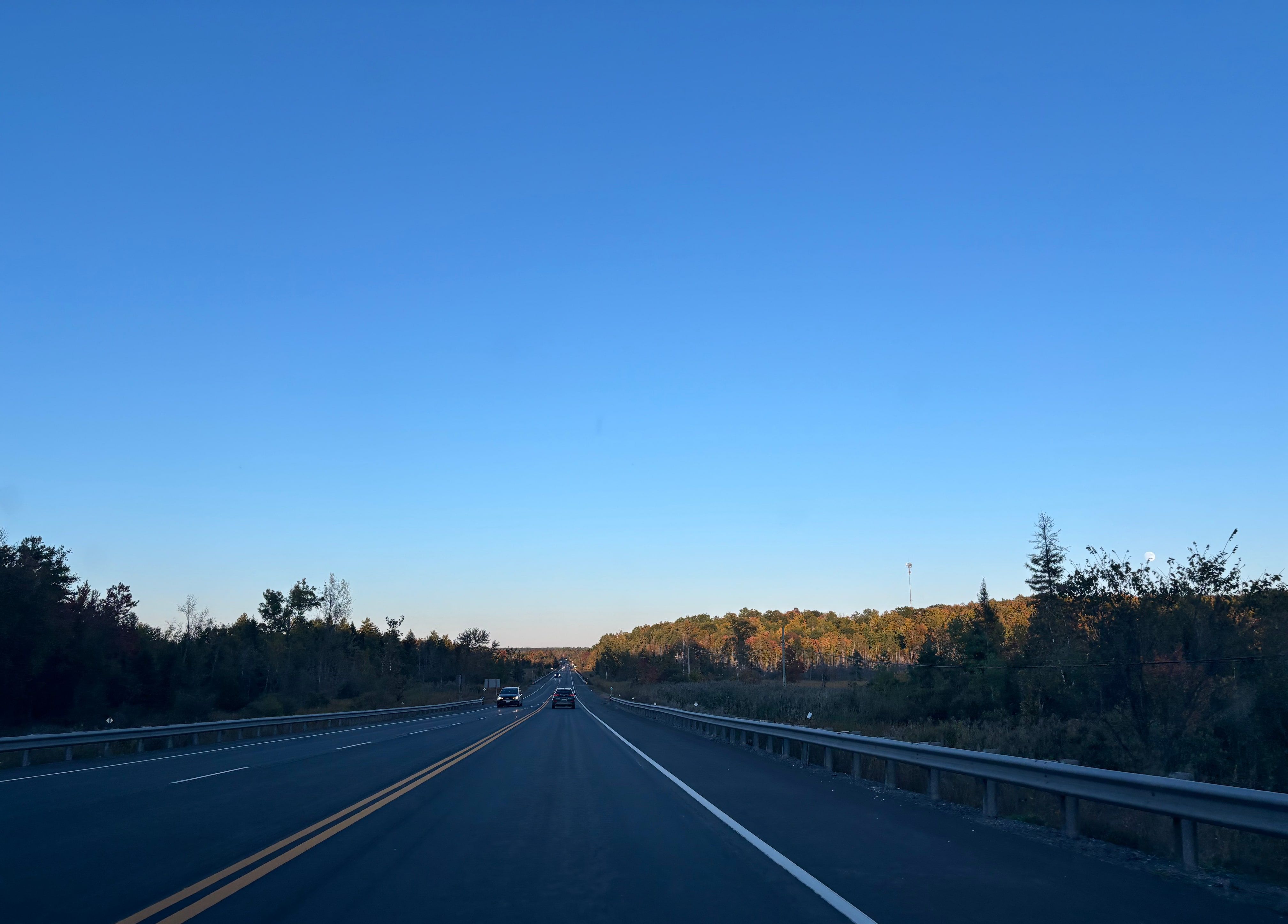 Highway 7 running straight ahead under a clear blue sky, the late sun lighting the turning trees on a wooded hill to the right