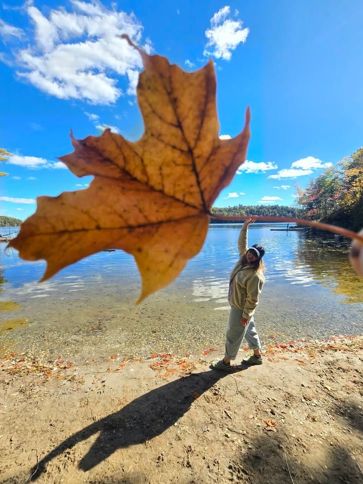A maple leaf held up close to the camera so it looks giant beside a small figure reaching for it on a sandy beach, with a blue lake and white clouds behind