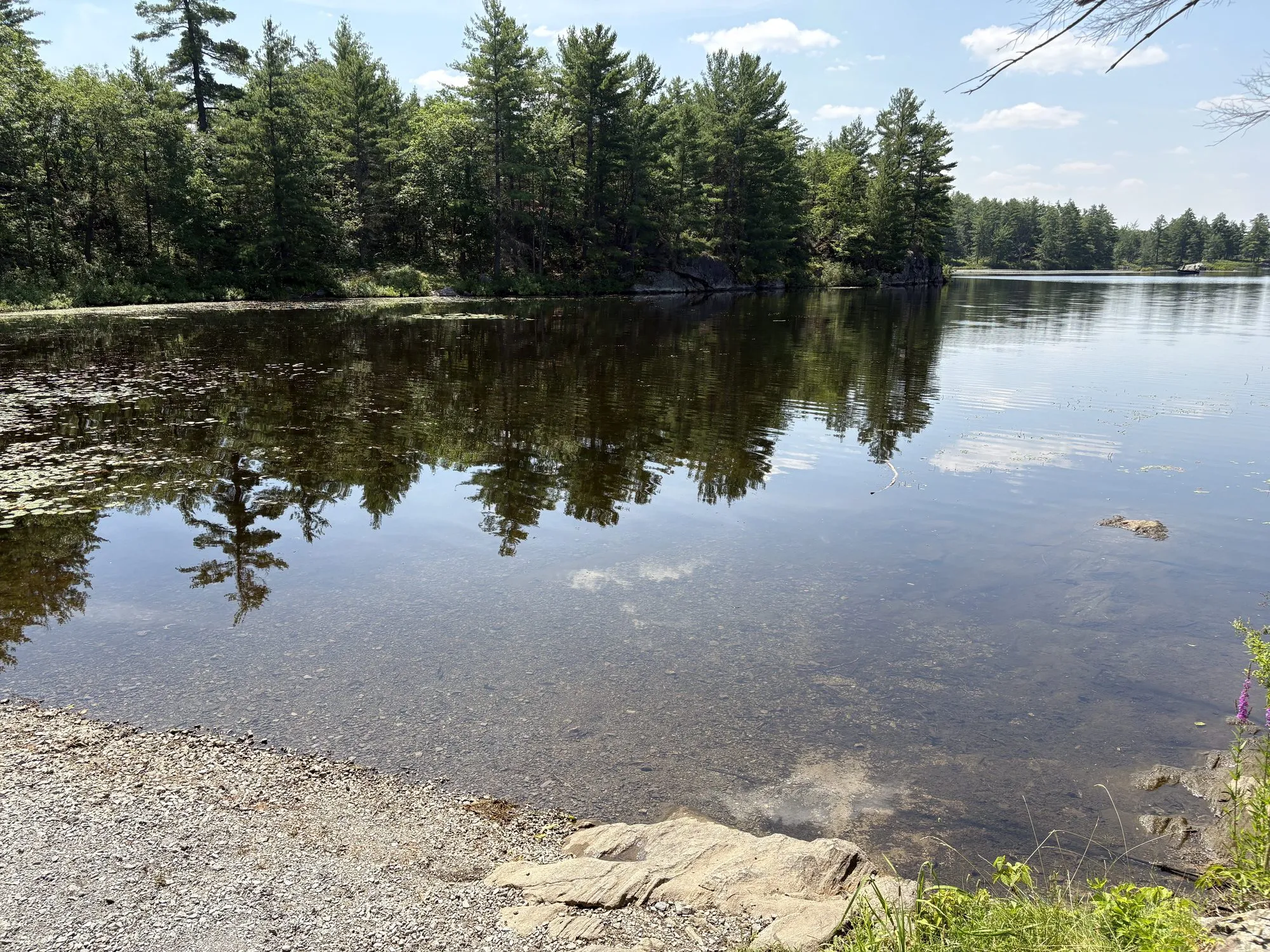 Little Mellon Lake at Sheffield Conservation Area, ringed by pines and rock outcrops with a gravel shore in the foreground